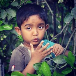 Portrait of cute boy standing by plant