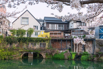 Buildings by lake