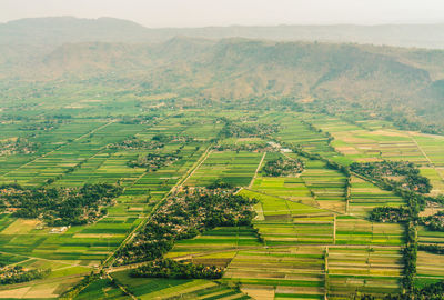 Scenic view of rural landscape