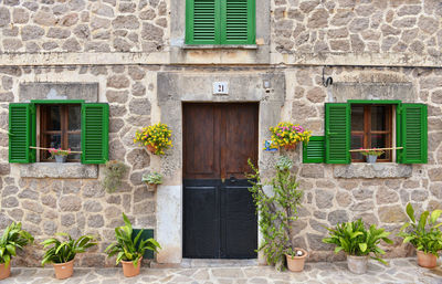 Potted plants on wall of building