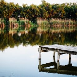 Scenic view of lake by trees