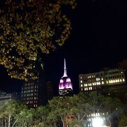 View of trees in the dark