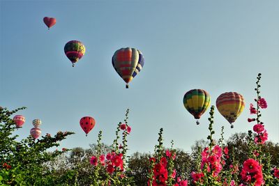 Low angle view of hot air balloons against sky
