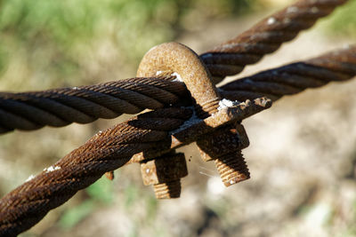 Close-up of rope on rusty metal