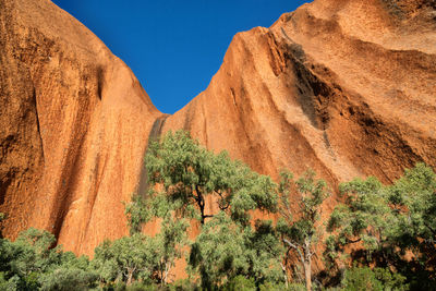 Plants growing on rock against sky