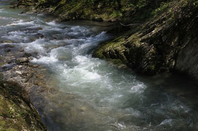 Scenic view of waterfall in forest