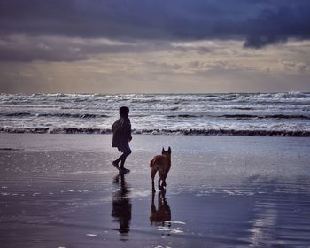 Dog on beach