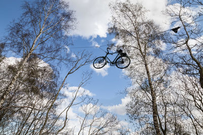 Low angle view of bare trees against sky