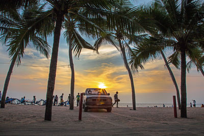 Palm trees on beach against sky during sunset