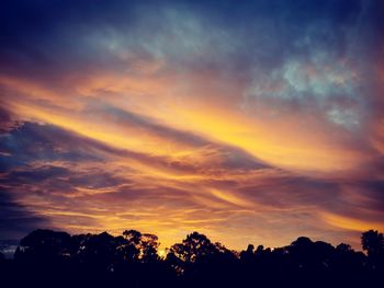 Low angle view of silhouette trees against orange sky
