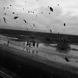 Birds flying over beach against sky