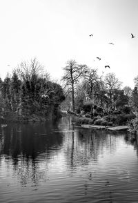 Birds flying over lake against sky