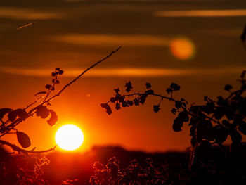 Close-up of silhouette plants against romantic sky at sunset