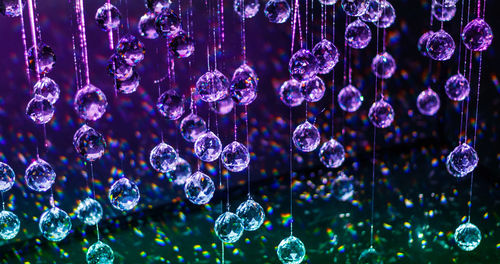 Close-up of purple bubbles