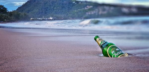 Close-up of green bottle on beach