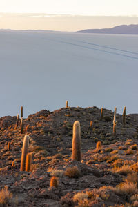 Sunrise over the salt pans of salar de uyuni, bolivia