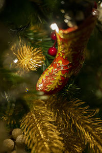 Close-up of christmas tree