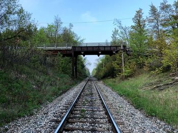 Railroad tracks along plants and bridge
