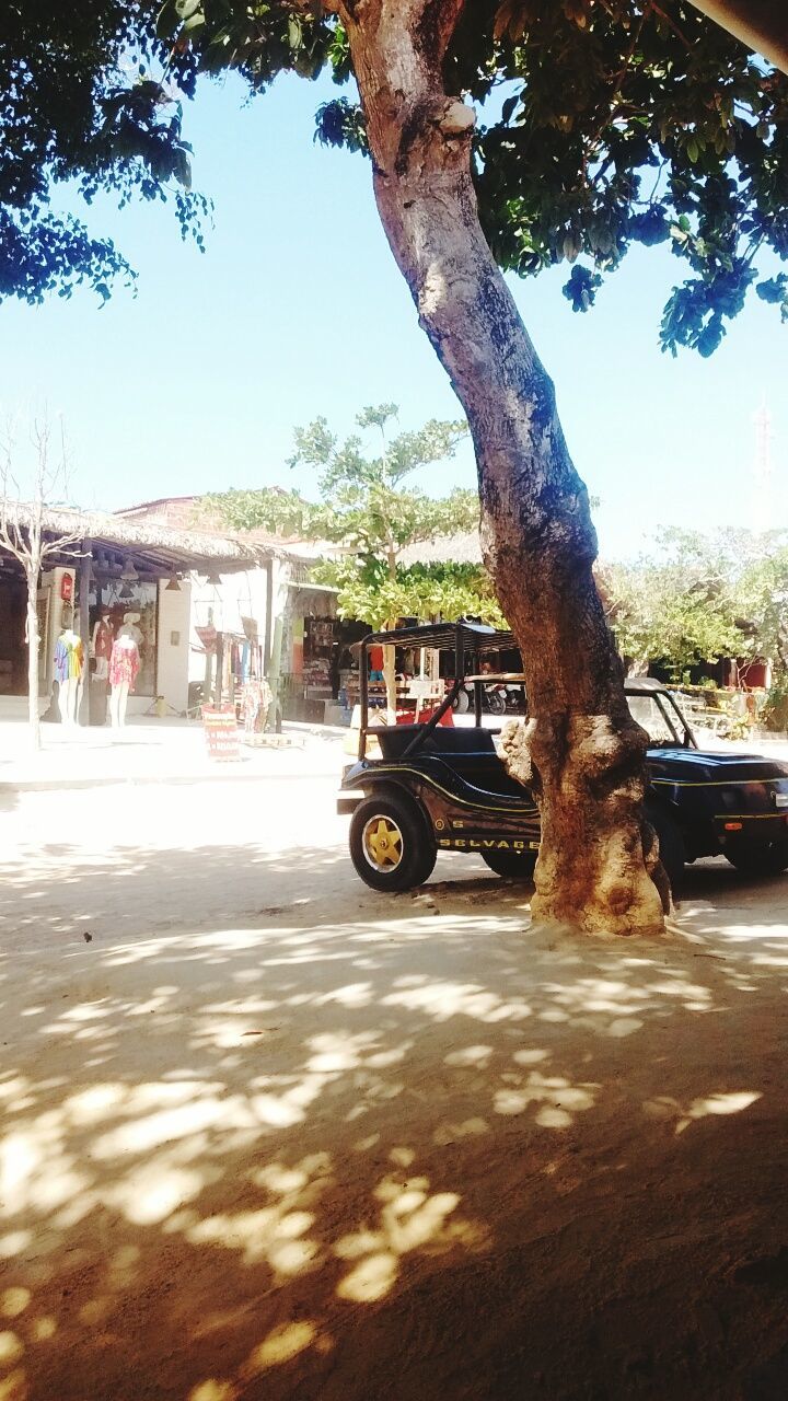 Praia de jericoacoara