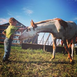 Horse standing in field against sky