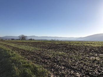 Scenic view of field against clear blue sky