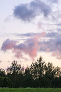 sky