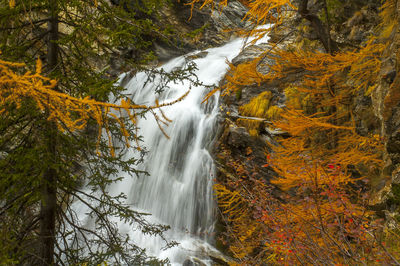 Scenic view of waterfall in forest during autumn