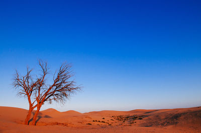 Scenic view of desert against clear blue sky