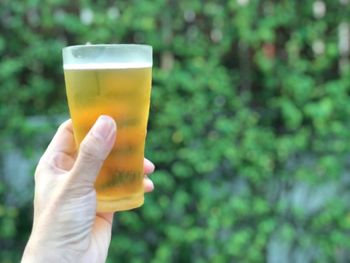 Close-up of hand holding beer glass