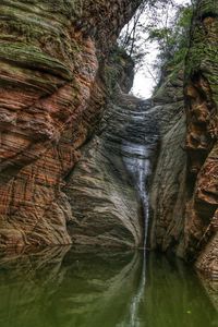 Rock formation amidst trees