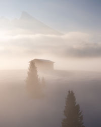 Scenic view of tree by mountain against sky