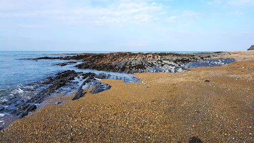 Scenic view of sea shore against sky