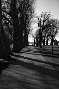 Empty road along trees in park