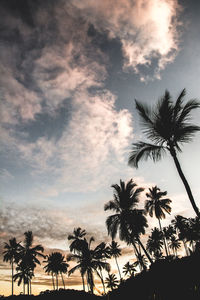 Low angle view silhouette of palm trees against sky at sunset