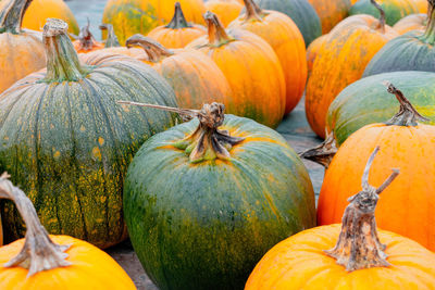 Close-up of pumpkins for sale in market