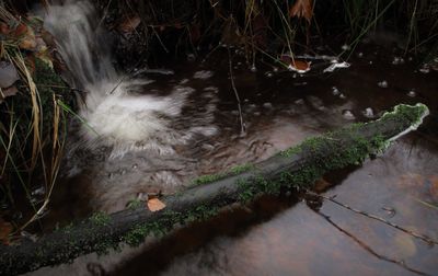 High angle view of water flowing in grass