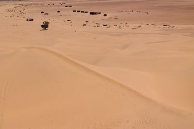 Mid distance view of tents in sahara desert