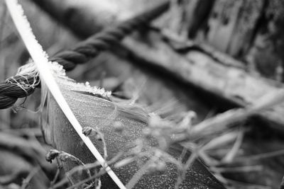 Close-up of rope tied to metal