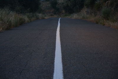 Empty road amidst trees