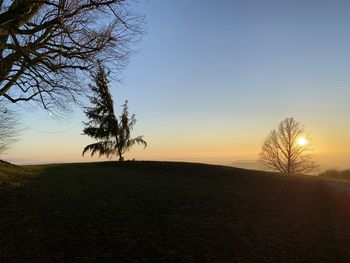Silhouette bare tree on field against sky during sunset