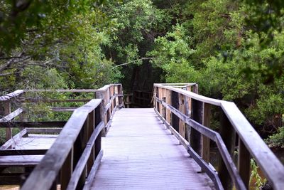 Wooden footbridge in forest