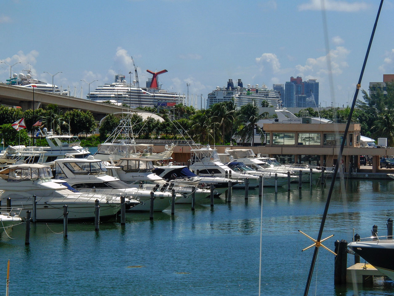 BOATS IN HARBOR