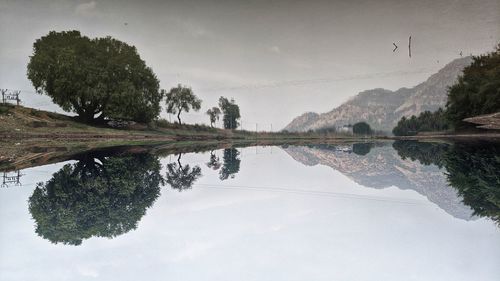 Scenic view of lake by trees against sky