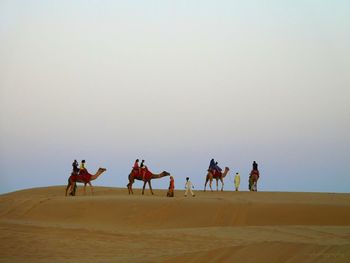 People riding horses in desert against clear sky