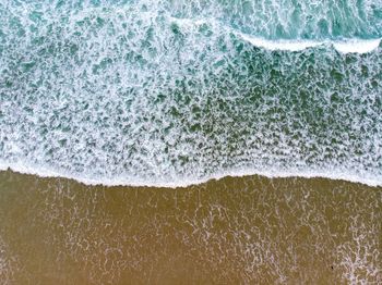 Full frame shot of fruit on shore