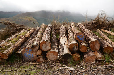 Stack of logs on field against sky