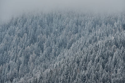 Full frame shot of sea