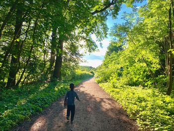 Rear view of man walking on road amidst trees