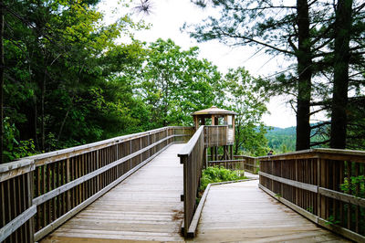 Footbridge amidst trees