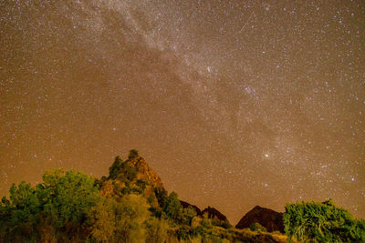 Low angle view of trees against sky at night